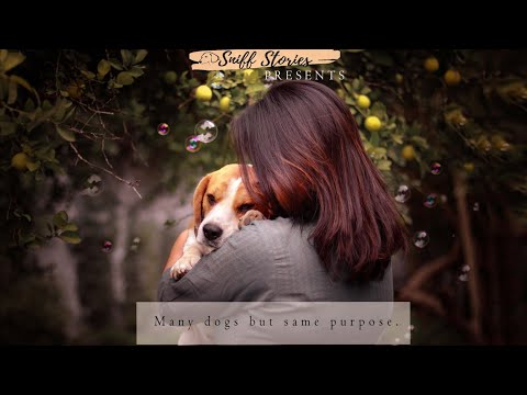 Many dogs with same purpose