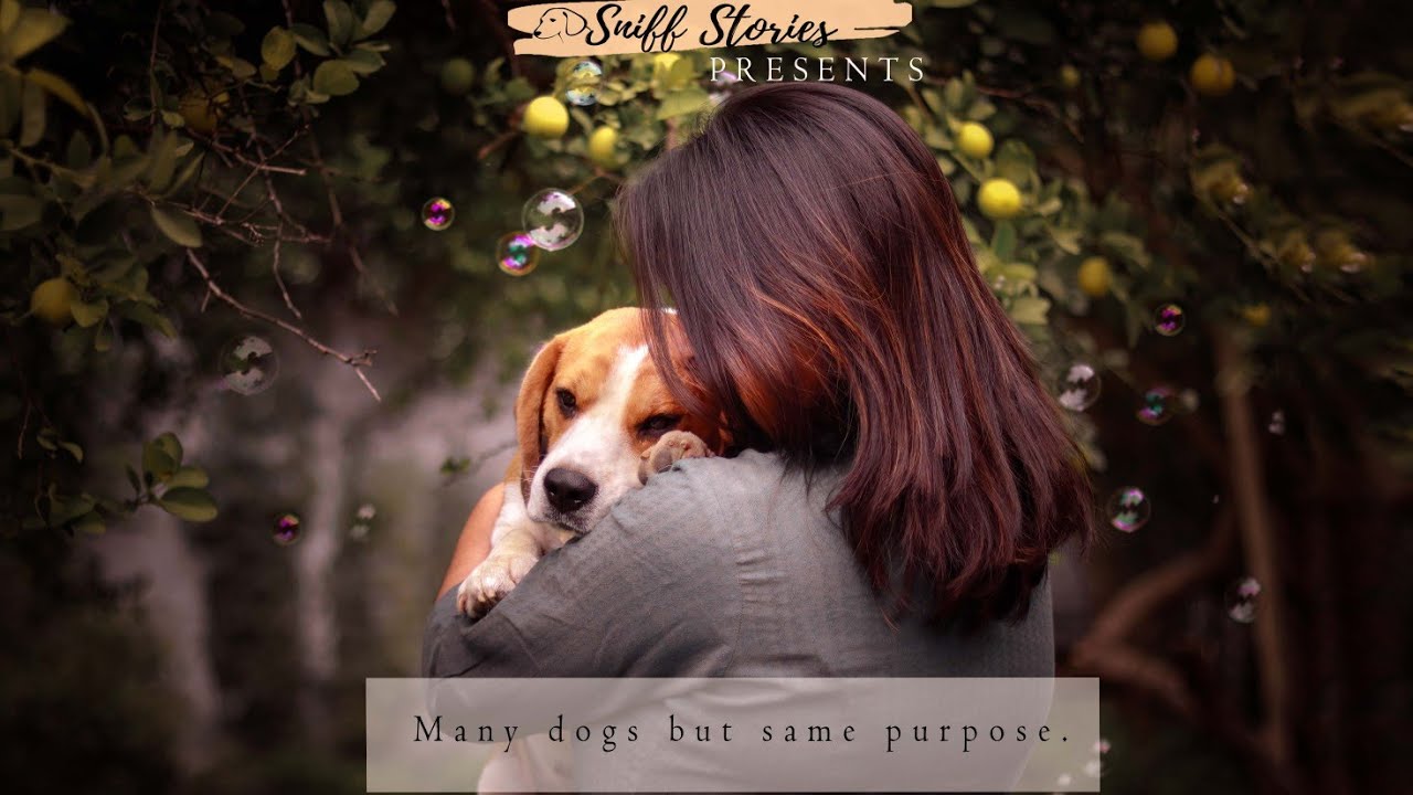 Many dogs with same purpose