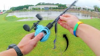 Fishing a BIG 10 inch Worm in SMALL ponds!