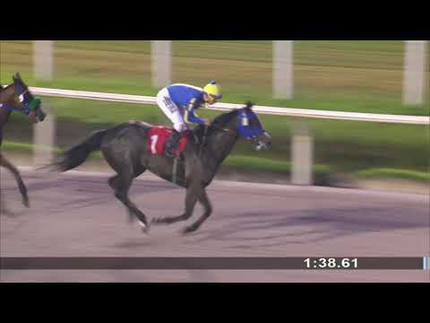 29/11/2019 – Hipodromo Maroñas – Carr 5 – CALAF (2016)
