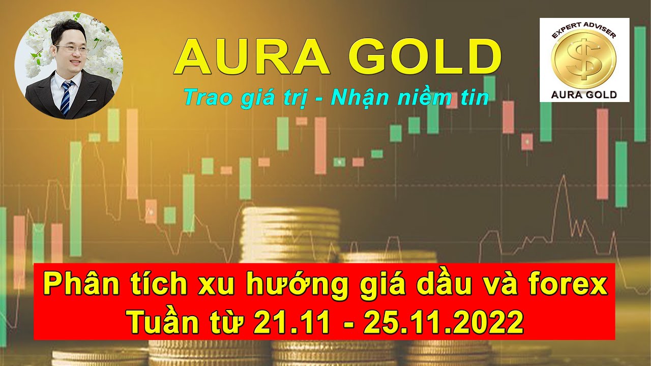 Phân tích xu hướng dầu và forex tuần từ 21.11 - 25.11.2022