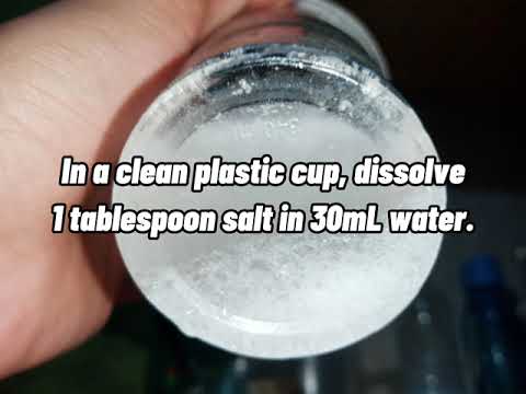 DNA ISOLATION|Home- Based Experiment