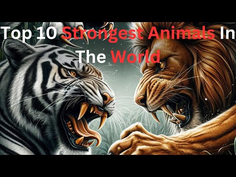 Top 10 Strongest Animals In The World
