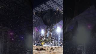 DESPACHO - A 5ª Geração da Genética Paulo Emílio #Barretos2026