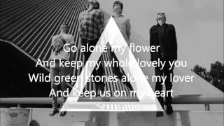 alt-j - tessellate - lyrics on screen