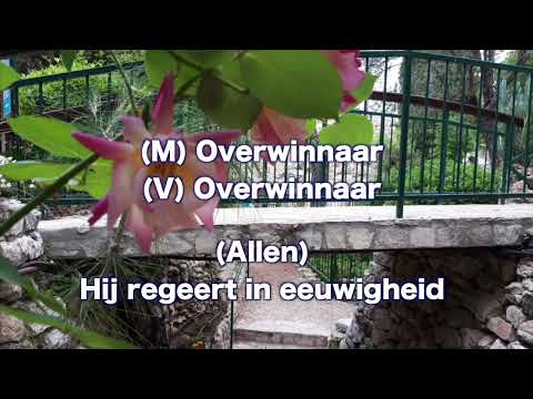 Opwekking 313 In een donker graf gevangen