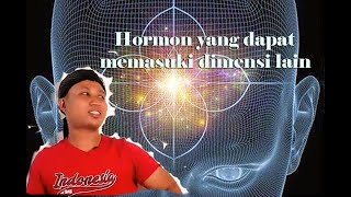 Download lagu Rahasia Meditasi dalam gelap dan secara rutin_Mas Tunjung mp3