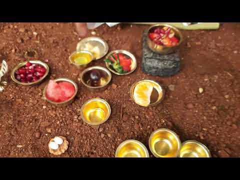 |MINIATURE | Mini Fruit 🍓🍎🍉🫒 Salad with honey 🍯|Dishita miniature |