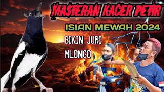Download lagu MASTERAN KACER FIGHTER ISIAN MEWAH MUDAH DI TIRU mp3 Download lagu MASTERAN KACER FIGHTER ISIAN MEWAH MUDAH DI TIRU mp3