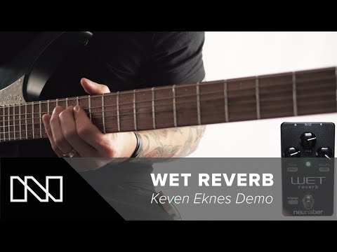 Neunaber Audio Wet Mono Reverb V5 2020 - Present - Black image 4