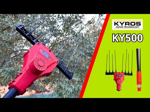 ΕΛΑΙΟΡΑΒΔΙΣΤΙΚΟ KYROS KY500