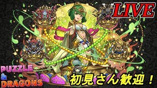 【パズドラ生放送】そうだ。裏闘技場に行こう