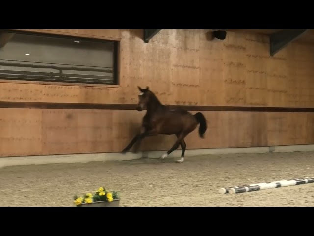 Gaits