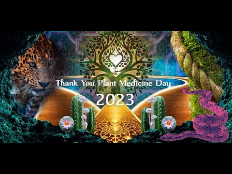 Harry's #thankyouplantmedicine testimony 2023