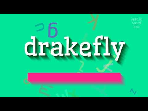 DRAKEFLY - HOW TO PRONOUNCE IT? #drakefly