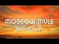 Bad Bunny - Moscow Mule  | 1 Hour Version | 1 Hora