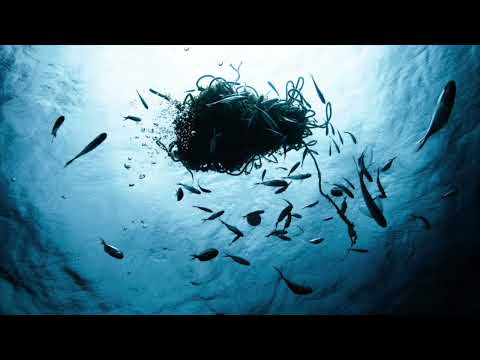 086 – Jan Hafner on Life as a Climate Scientist - 1