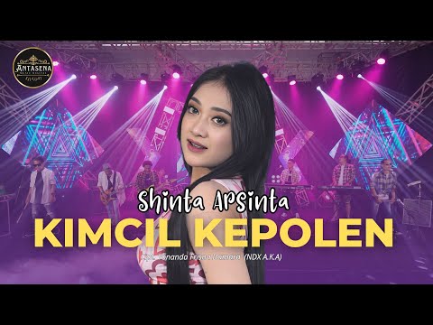 SHINTA ARSINTA - KIMCIL KEPOLEN (OFFICIAL LIVE MUSIC)
