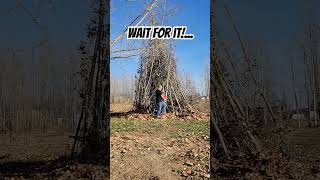 Download lagu Bonfire Fail #gas #fire #fall #fail #explosion mp3 Download lagu Bonfire Fail #gas #fire #fall #fail #explosion mp3
