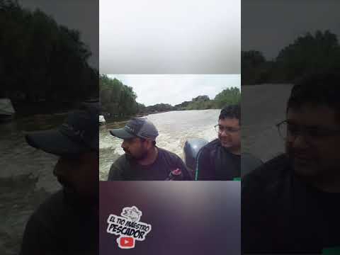 ISLA LA CECILIA (CAMINO A IBICUY)(ENTRE RIOS)