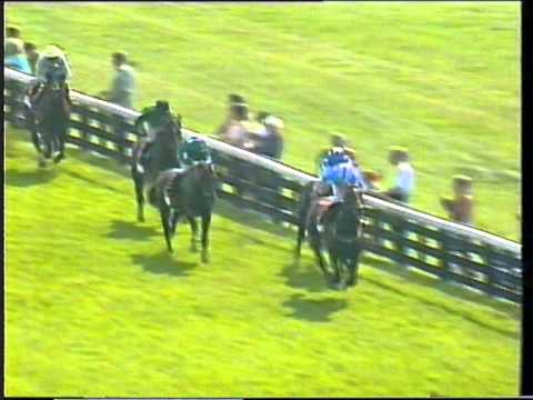 1997 - York - Lonsdale Cup - Double Eclipse