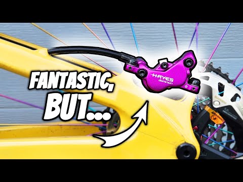 Why Quality Control is Important | Hayes Dominion A4 Review