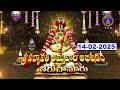 Sri Padmavathi Ammavari Abhishekam Tiruchanoor 14 02 2025 SVBC TTD