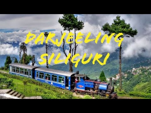 Do Din Ka Ye Mela | Gulabo Sitabo | Amitabh Bachchan & Ayushmann Khurrana | Siliguri Tourism Video