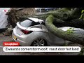 TERUGKIJKEN | Extra lange journaals door storm Poly