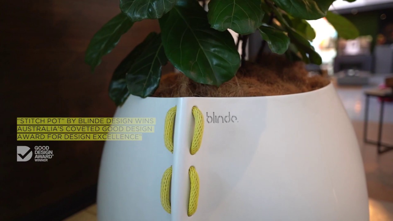Award Winning Design From Concept to Creation