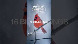 Advent & Christmas - 16 Bible Songs