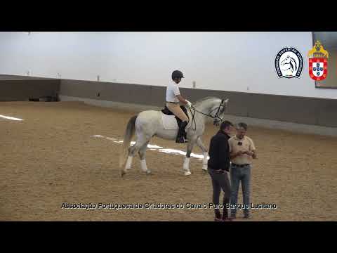 230417 2 Proj Ensino APSL&FEP - Ricardo Pereira com Picante do Zambujal