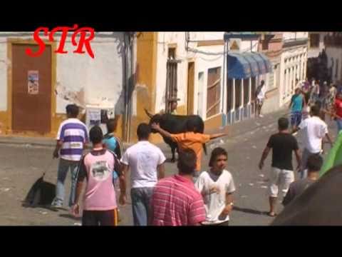 STR Largada de Toiros da Feira de Cuba 2010.wmv