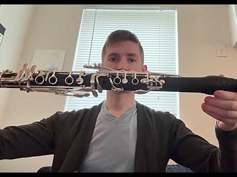 Pereira Custom Balance Series A Clarinet image 7