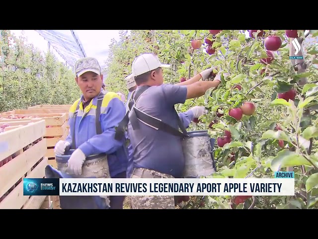 Казакстанда апорт кайрадан жаңыртылат