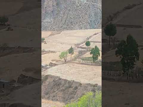 Campo Productivo de Cuesta Azúl - Nazareno - Salta