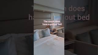 Discovery Princess E318 Obstructed View Balcony Stateroom Tour #joyfulwanderer #discoveryprincess