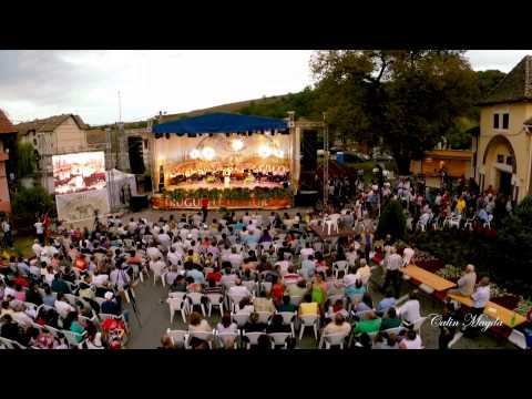 Strugurele de Aur   Jidvei 2014