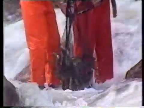 Laksen tilbake i Audnaelva . Norge Rundt innslag fra 1990