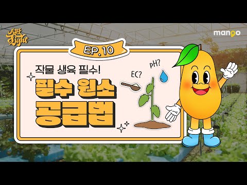 스마트팜의 양액 제조 와 공급 방식의 원리 [스팜 Light] EP.10