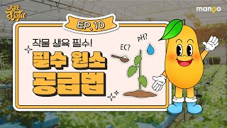 스마트팜의 양액 제조 와 공급 방식의 원리 [스팜 Light] EP.10