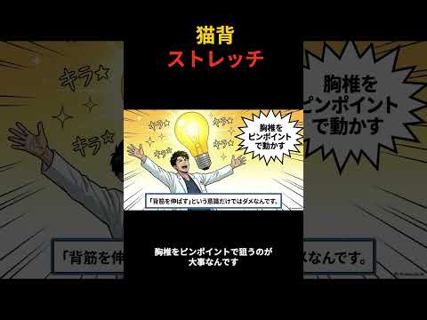 YouTube動画