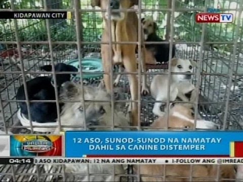 Kung paano mangayayat sa 30 kg pagkatapos ng 40 taon Almazed gabay sa slimming