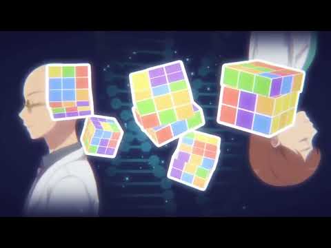 Shiyan Pin Jiating OPOpening HD