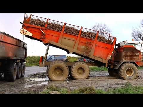 wet conditions for transporting sugarbeets | and High speed loading sugarbeets