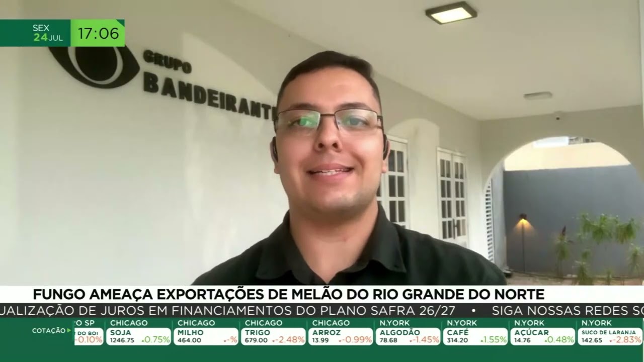Fungo ameaça exportações de melão do Rio Grande do Norte