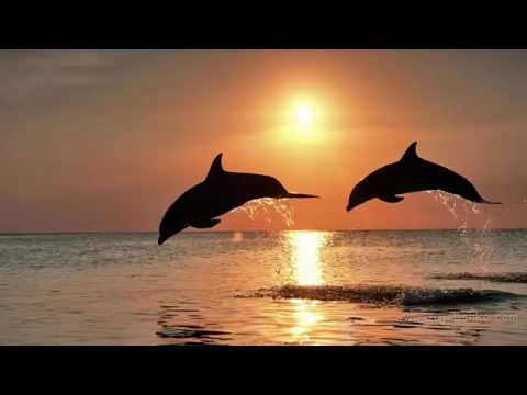 Vedno bom ob tebi -  ANSAMBEL SPEV