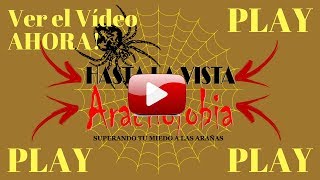 Hasta La Vista Aracnofobia - Superando Tu Miedo A Las Araas