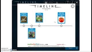 timeline 1