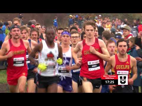 2017 U SPORTS XC Men's Race Highlights